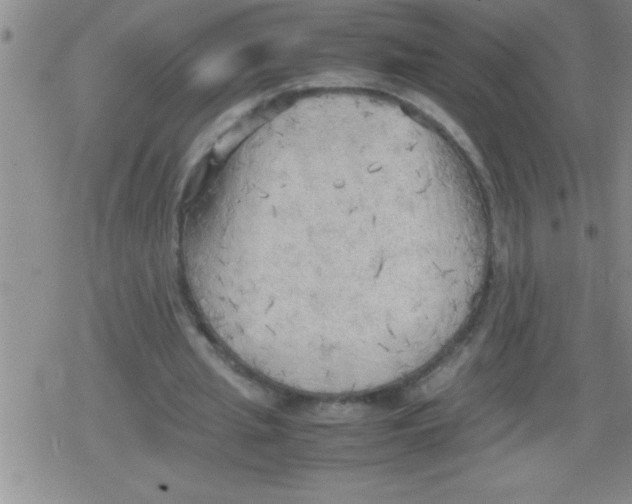 X0000079340437200612151912