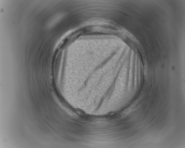 X0000079340438200612151912