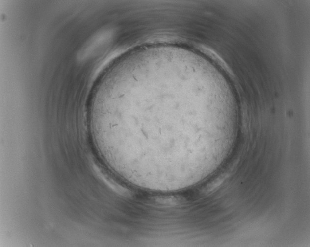 X0000079340439200612151912