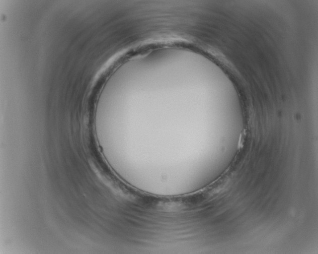 X0000079340440200612151912