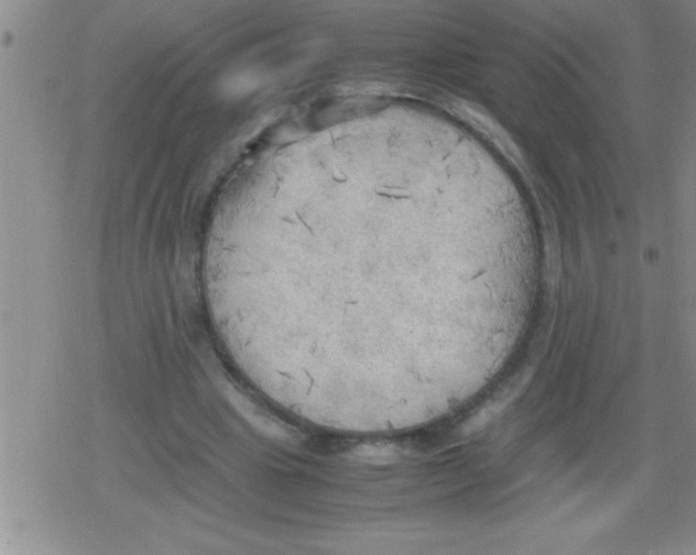 X0000079340441200612151912