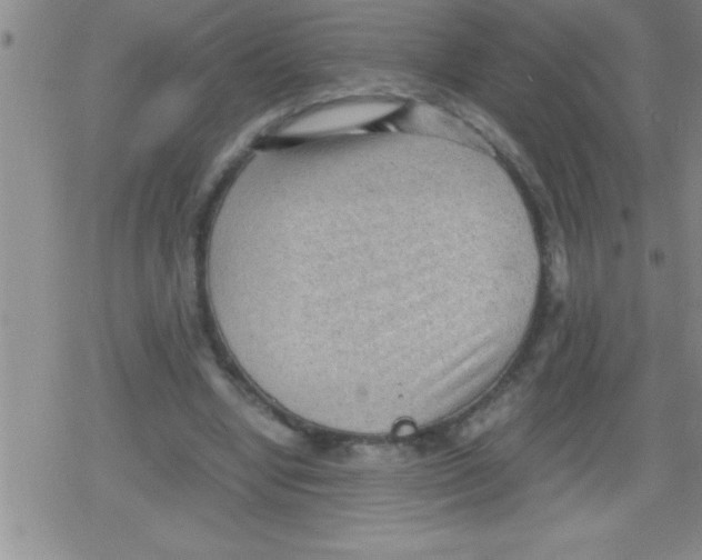 X0000079340442200612151912