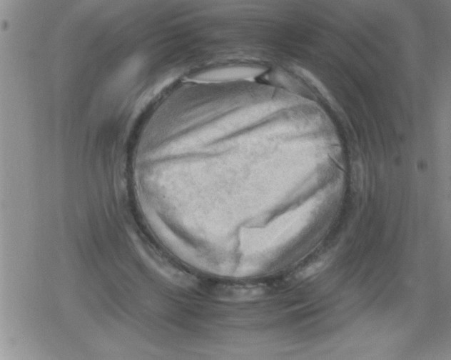 X0000079340443200612151912