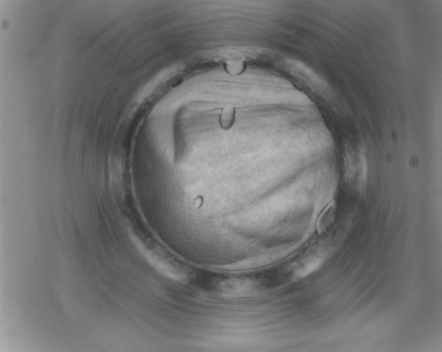 X0000079340444200612151912