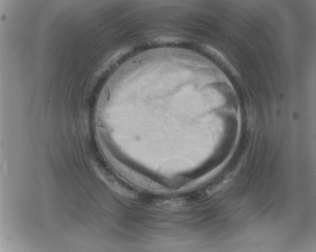 X0000079340447200612151912