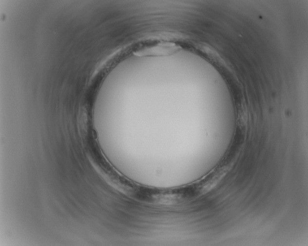 X0000079340448200612151912