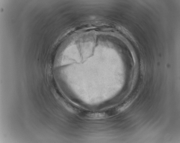 X0000079340449200612151912