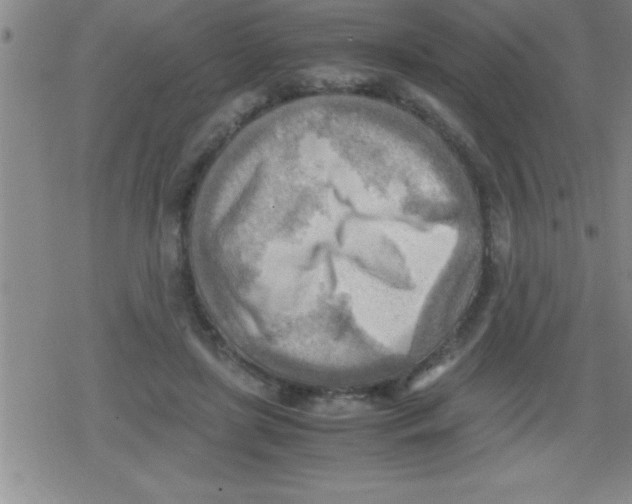 X0000079340451200612151912