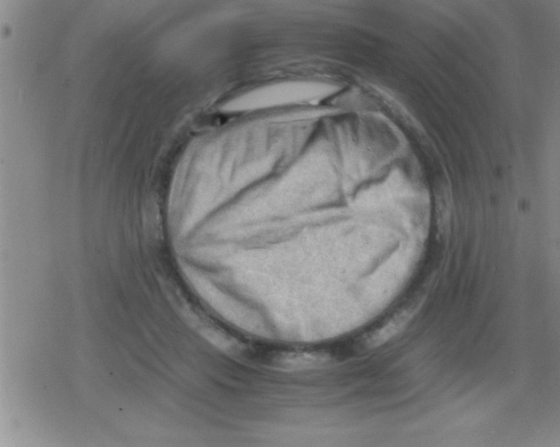 X0000079340453200612151912