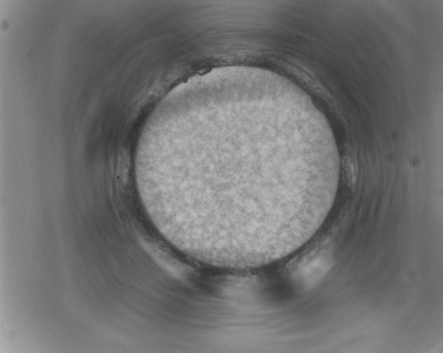 X0000079340458200612151912