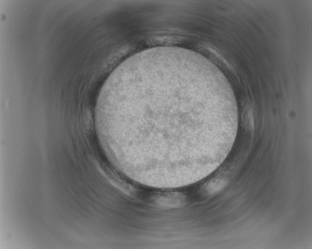 X0000079340459200612151912