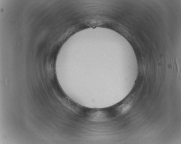 X0000079340460200612151912