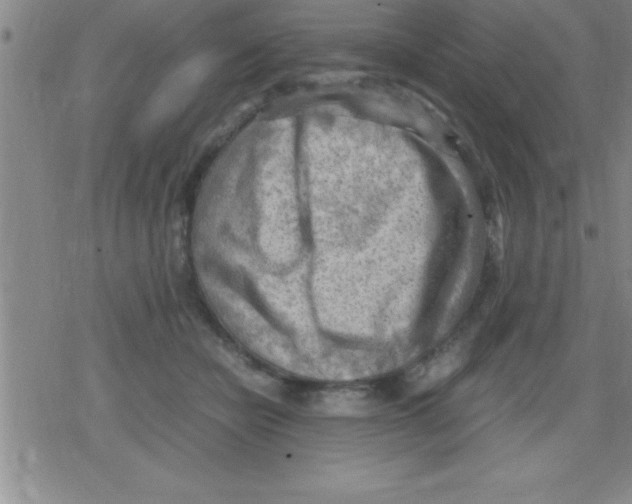 X0000079340462200612151912