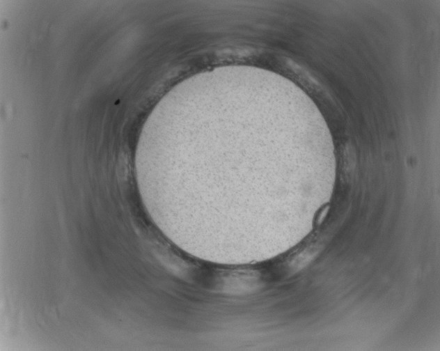 X0000079340463200612151912