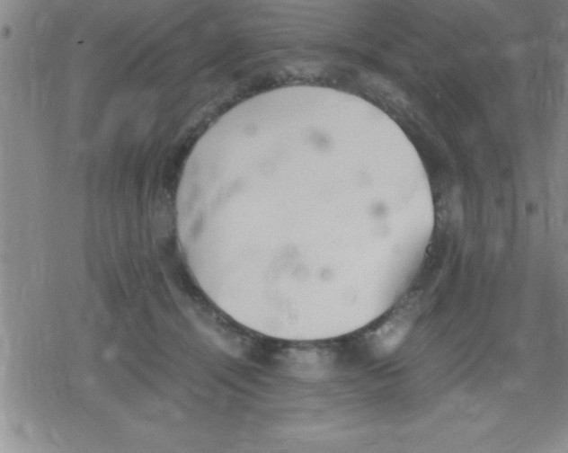 X0000079340464200612151912