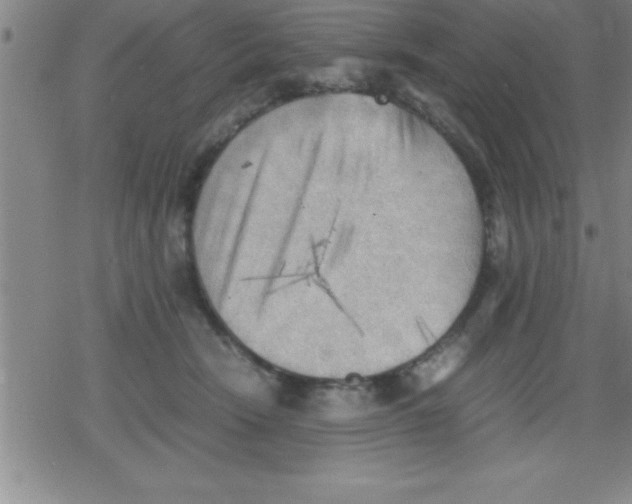 X0000079340466200612151912