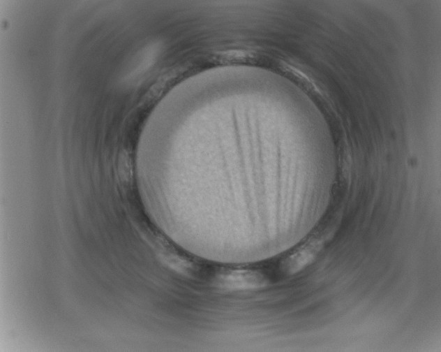 X0000079340467200612151912