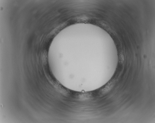 X0000079340468200612151912