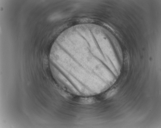 X0000079340469200612151912