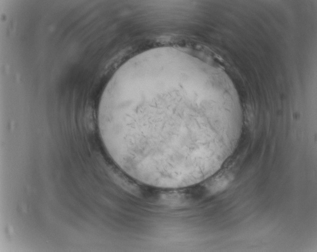 X0000079340470200612151912