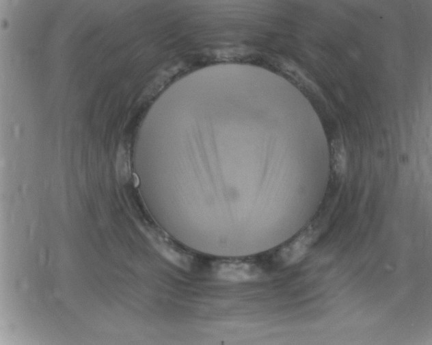 X0000079340471200612151912