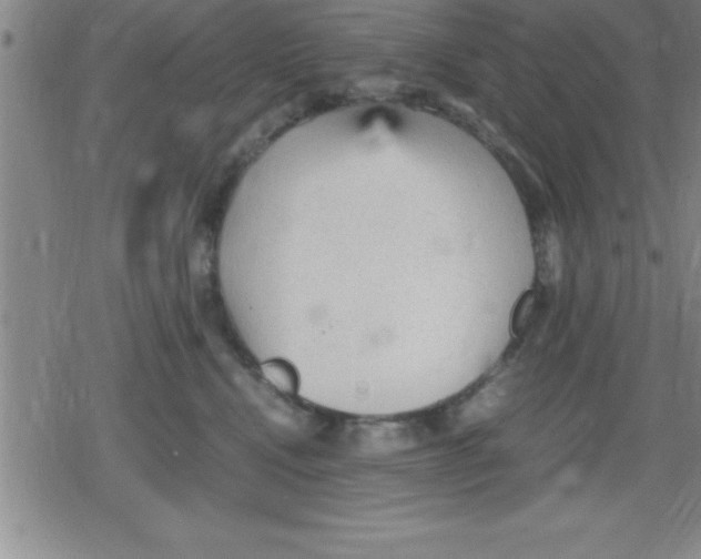 X0000079340472200612151912