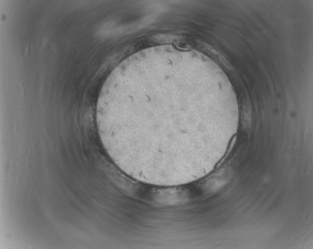 X0000079340473200612151912