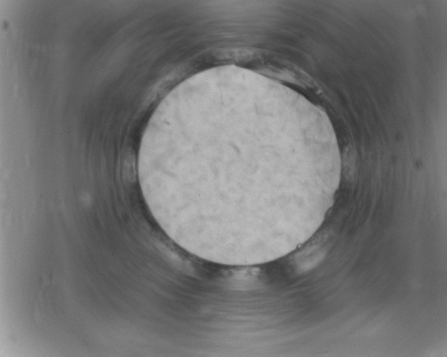 X0000079340474200612151912