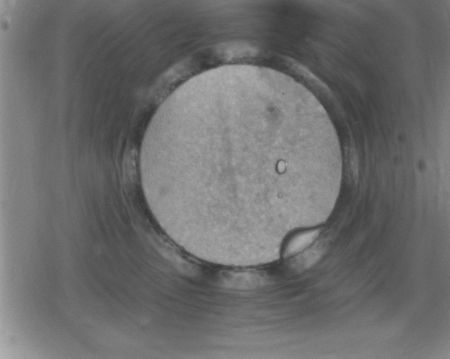 X0000079340475200612151912