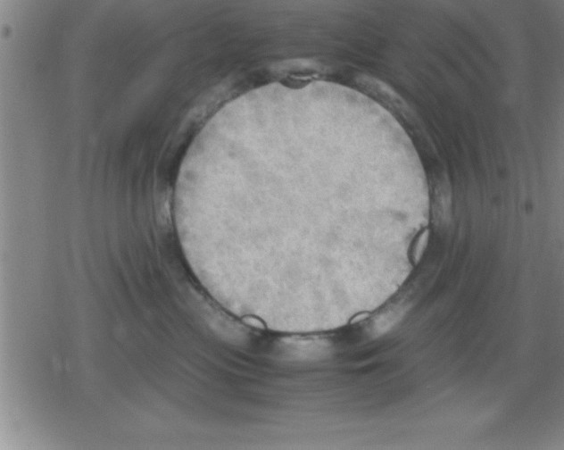 X0000079340477200612151912