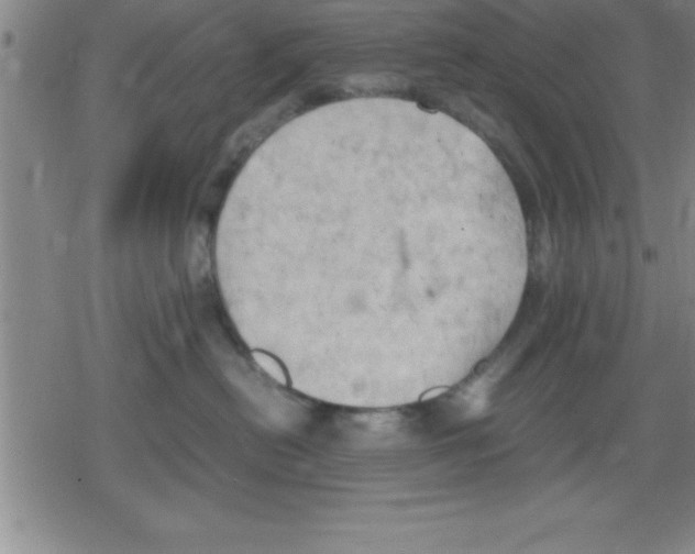 X0000079340478200612151912