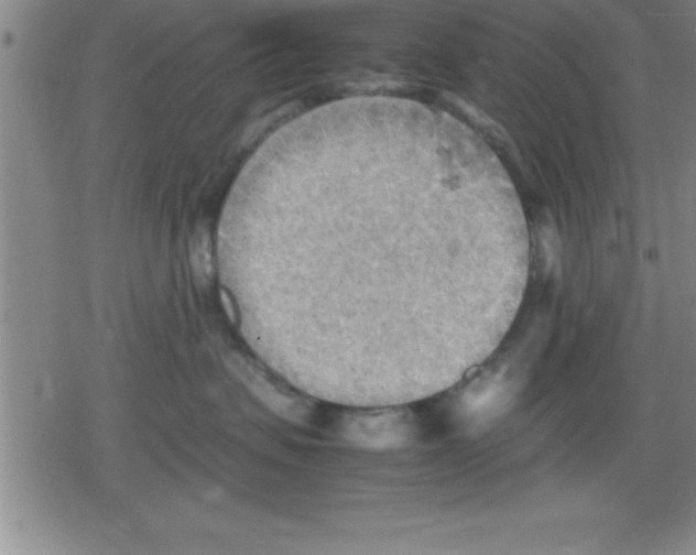 X0000079340479200612151912