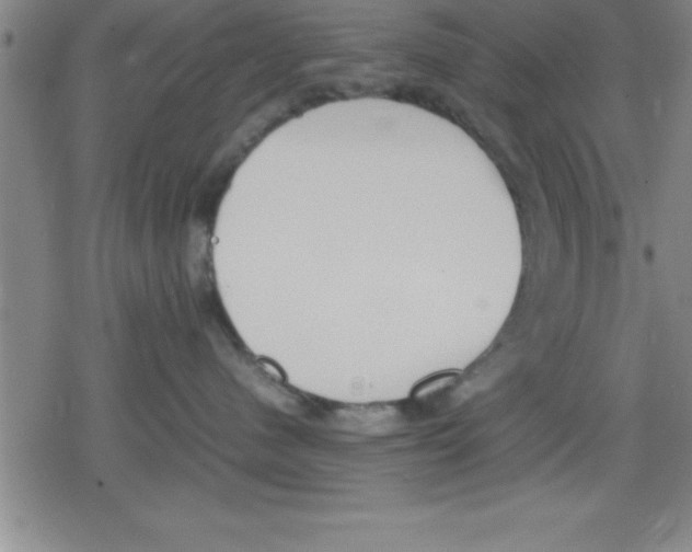 X0000079340480200612151912