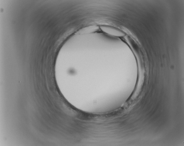 X0000079340481200612151911