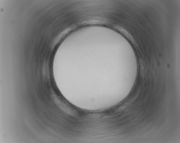 X0000079340482200612151911