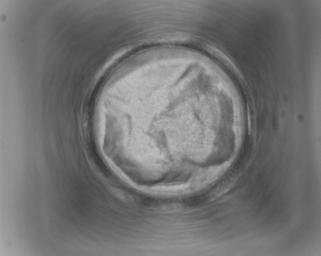 X0000079340483200612151911