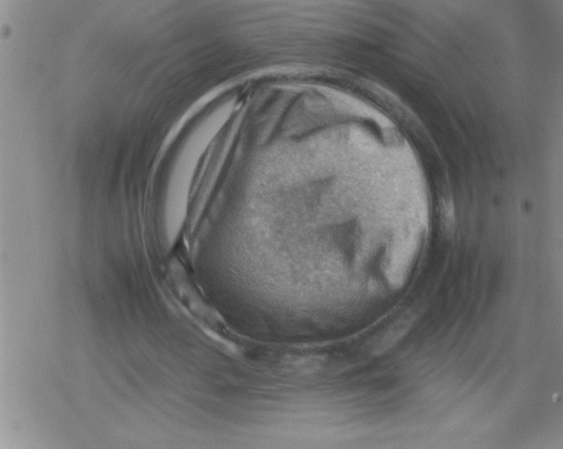 X0000079340484200612151911