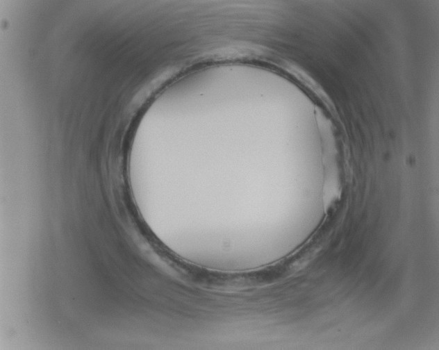 X0000079340485200612151911