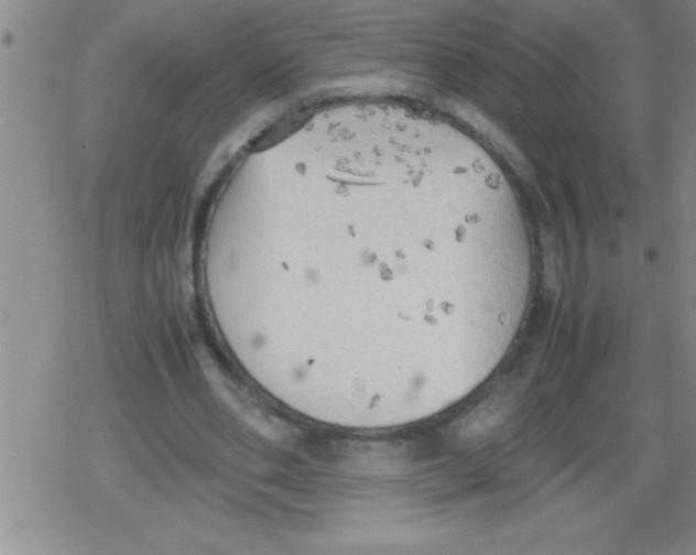 X0000079340486200612151911