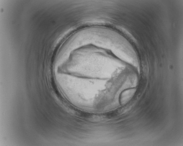 X0000079340487200612151911