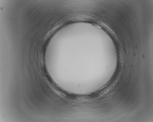 X0000079340489200612151911