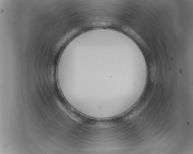 X0000079340490200612151911