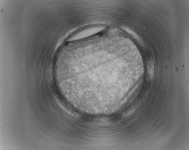 X0000079340492200612151911