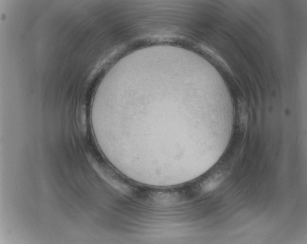 X0000079340494200612151911