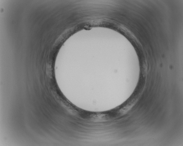 X0000079340497200612151911