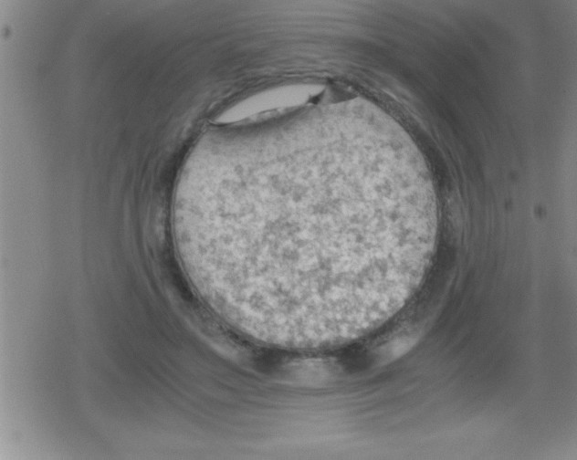 X0000079340499200612151911