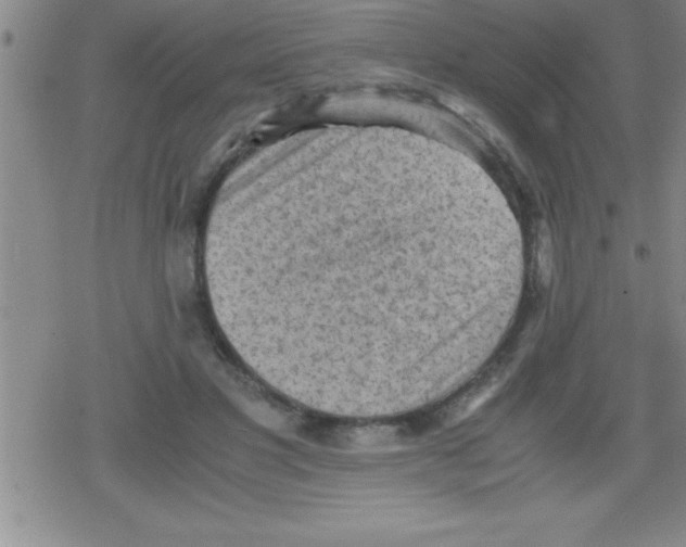 X0000079340501200612151911