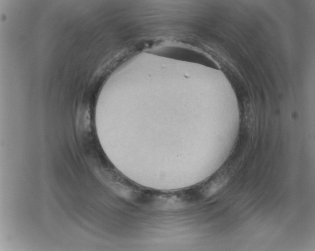 X0000079340502200612151911