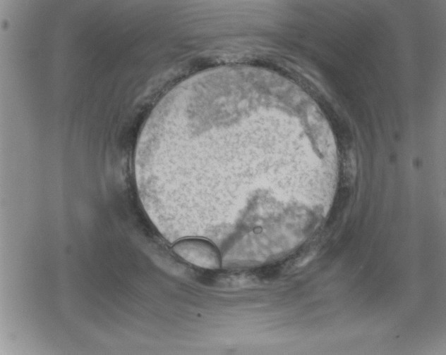 X0000079340503200612151911