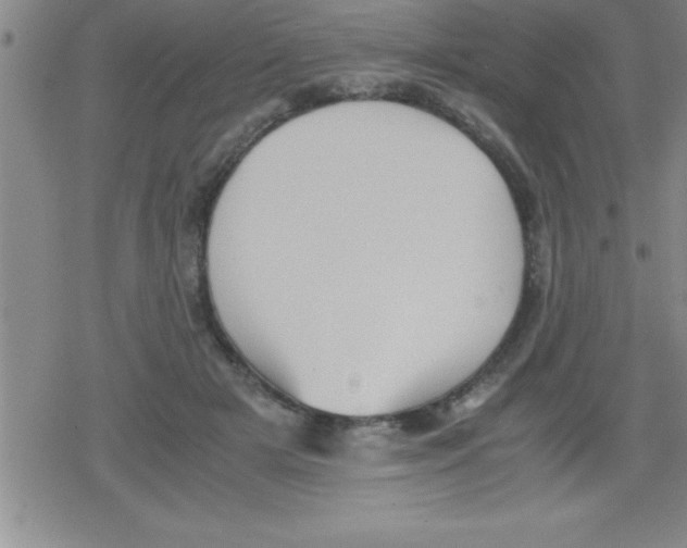 X0000079340505200612151911